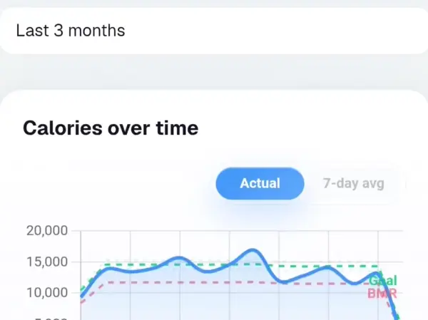 Kibora trends screen charting calories over time across the last three months.