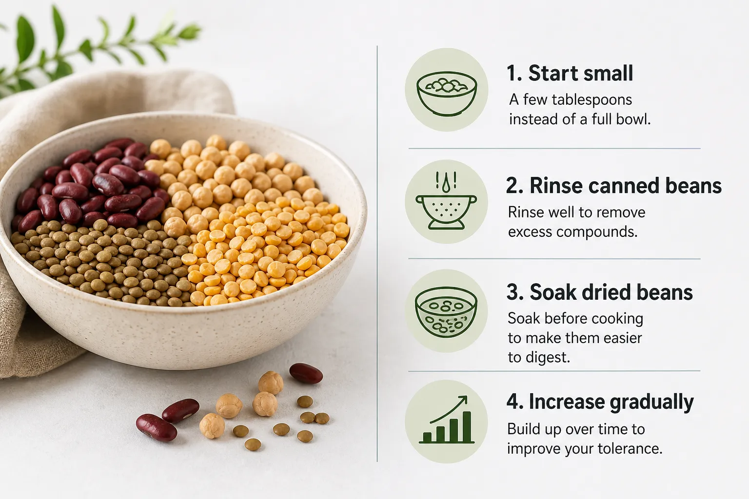 Beans and lentils with preparation tips Bowl of beans and lentils beside tips for starting small, rinsing canned beans, soaking dried beans, and increasing gradually.