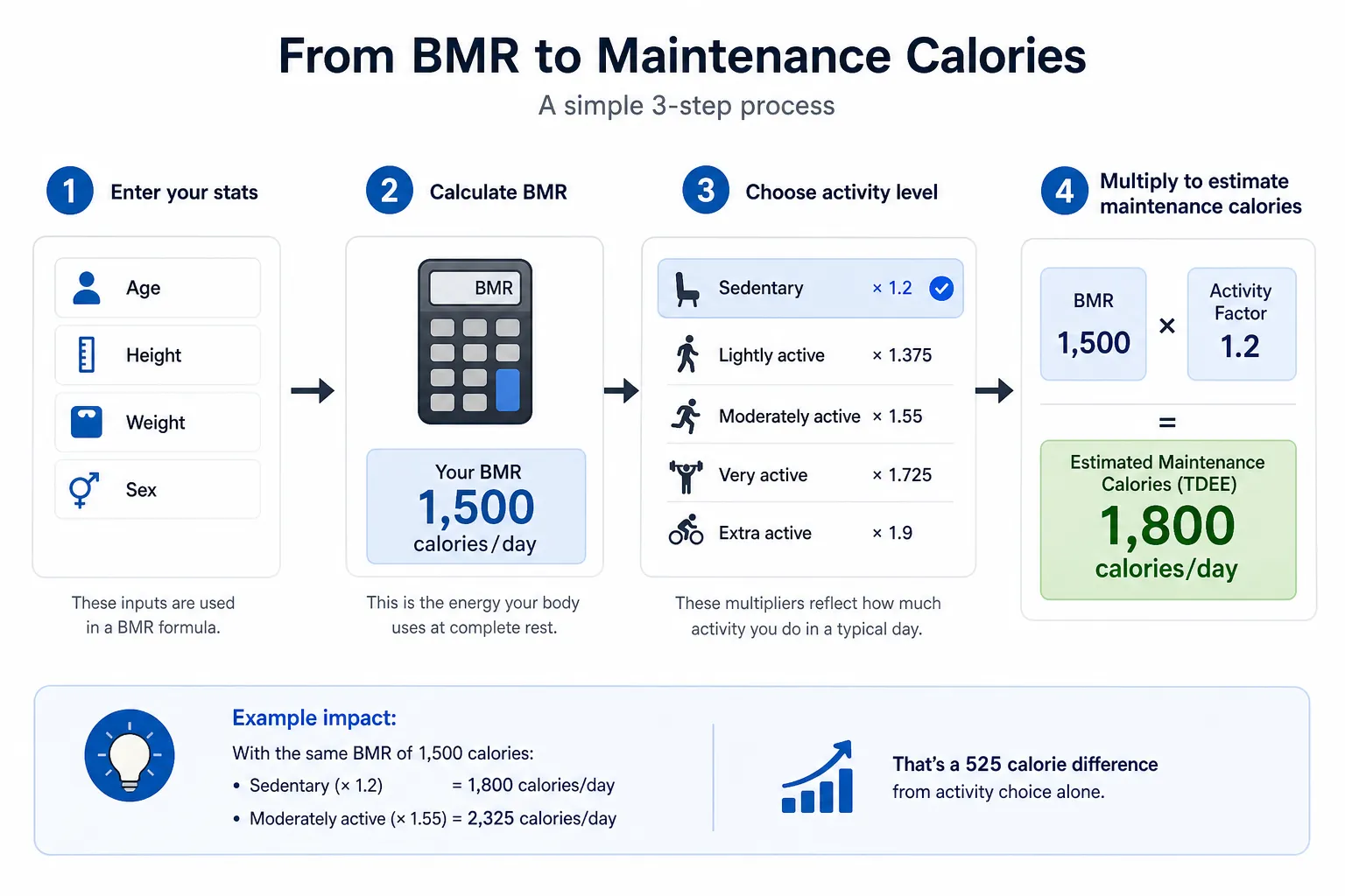 BMR to maintenance calories infographic Infographic showing four steps from BMR to maintenance calories, with activity levels and calorie examples.