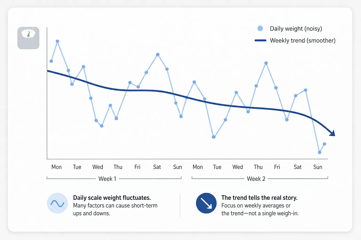 Daily weight fluctuations and weekly trend chart Line chart showing noisy daily weight fluctuations and a smoother downward weekly trend.