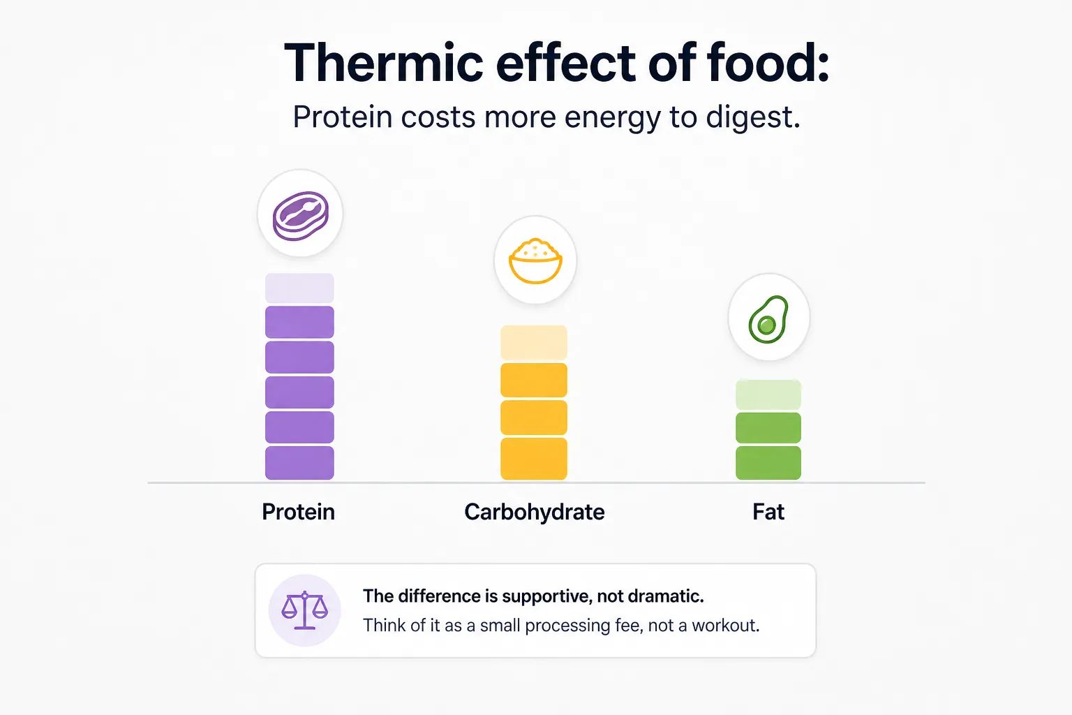 Chart comparing protein, carbohydrate, and fat, showing protein has the highest thermic effect of food.