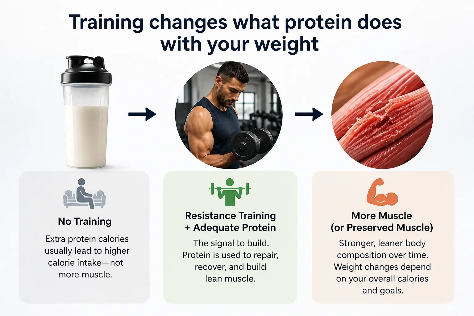 Protein, training, and muscle infographic Infographic showing a protein shaker, a man lifting weights, and muscle fibers connected by arrows.