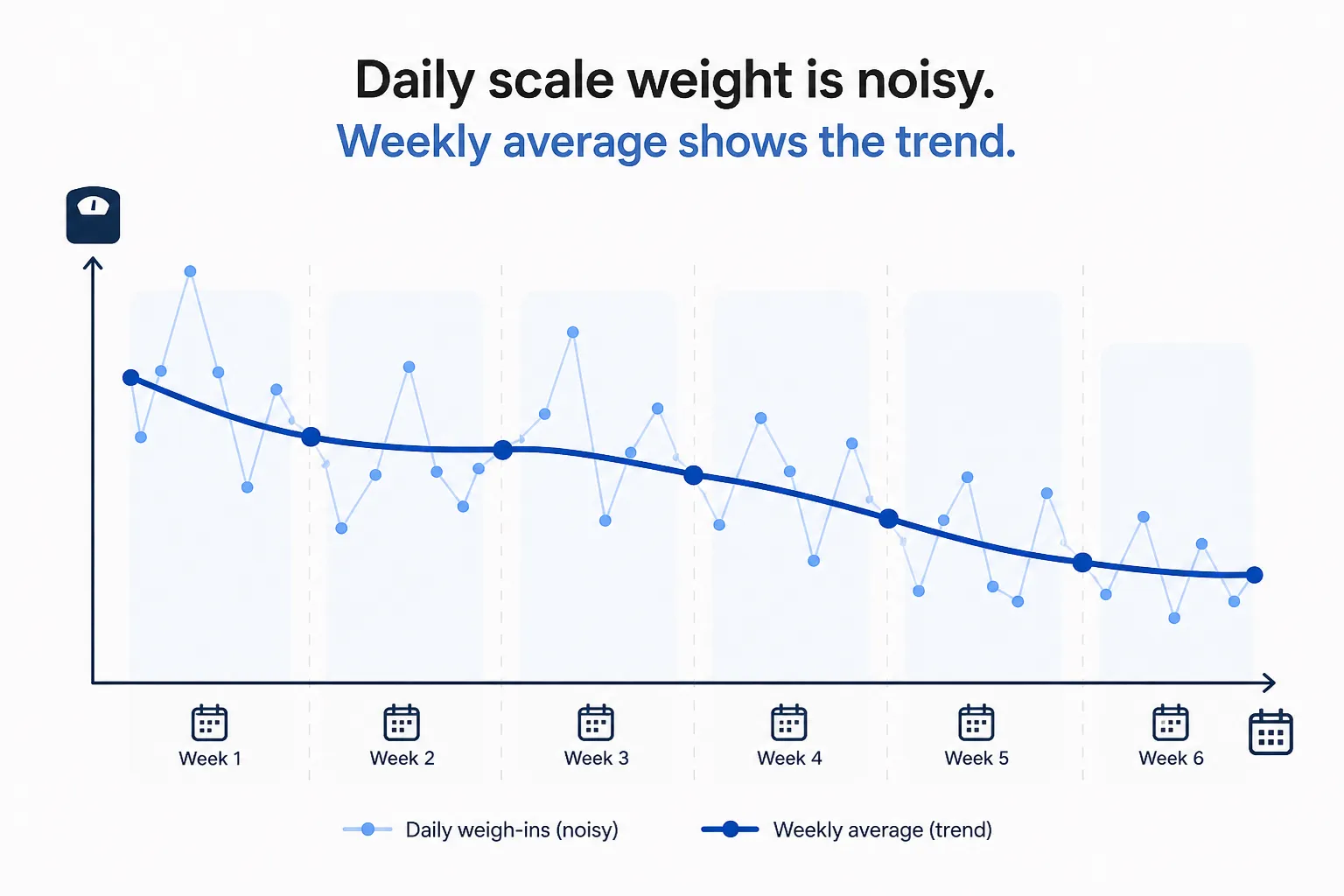 Line chart showing noisy daily weigh-ins and a smoother downward weekly average over six weeks.